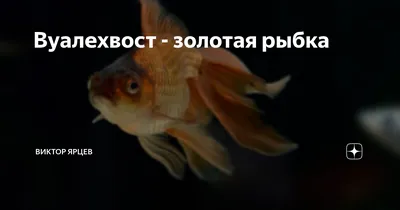 Белая рыба с красными глазами - 77 фото