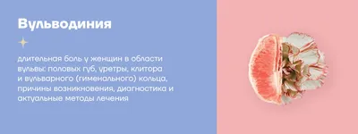 МЕХАНИЗМЫ ЗАЩИТЫ ПОЛОВОЙ СИСТЕМЫ — Гинекологический кабинет О.В. Кичигина —  Сигма-Мед Калининград.