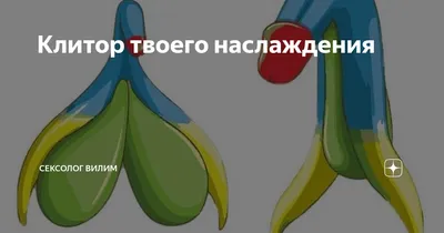 Манипуляции по акушерству для фельдшеров | Конспекты лекций Акушерство и  гинекология | Docsity