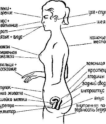 akusher-lib.ru