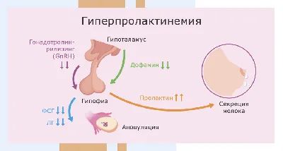 Нет выделений перед месячными (признак беременности): нет никаких выделений