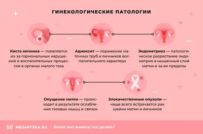 Овуляция? — 13 ответов | форум Babyblog