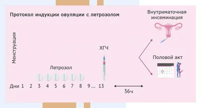 Частые проблемы и заболевания в гинекологии - Euromed In Vitro