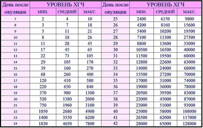 Отличие овуляции от менструации: ключевое понимание женского цикла