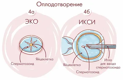 Имплантационное кровотечение вначале беременности. Выделения во время  беременности. - YouTube