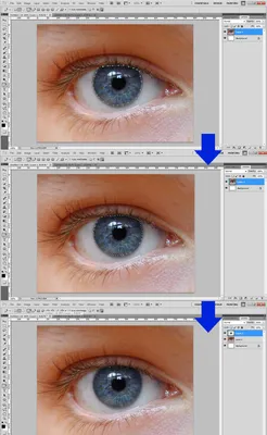 глаз глаза смотреть дизайн бирюзовый выделить круг точка вектор PNG , фон,  черный, синий PNG картинки и пнг рисунок для бесплатной загрузки