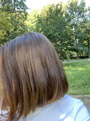 Мелирование на крашеный волос 🔥Мастер Ольга Офицерова  @salon.krasoty_princessa @ofitserova_colorist_uralsk #мелирование… |  Instagram