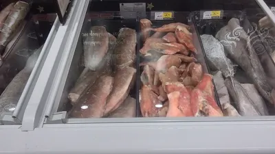 Португальский гипермаркет - рыбный отдел | Пикабу