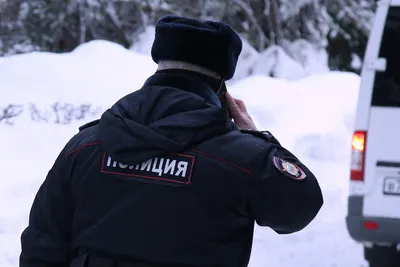 В Подмосковье в лесу нашли тело девушки с выколотыми глазами — подробности  истории