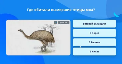 Ученые объяснили, как птицы пережили вымерших динозавров - РИА Новости,  30.07.2021