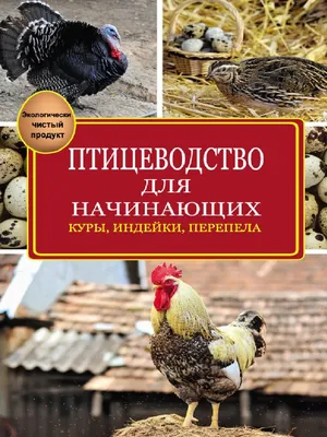 Лечение заболеваний кур: как правильно, болезни, какими препаратами