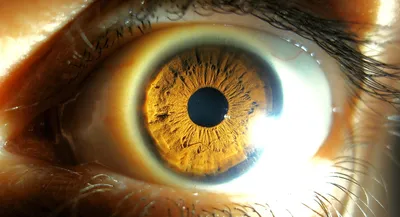 Симптомы серьезных болезней проявляющиеся в глазах