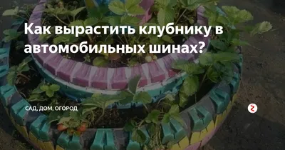 Грядка из ШИН для клубники: 8 фото идей для дачи