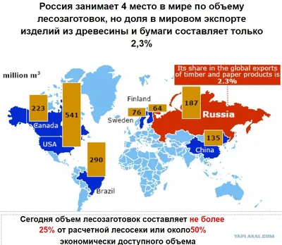 Вырубки леса в Сибири - фото и картинки: 29 штук