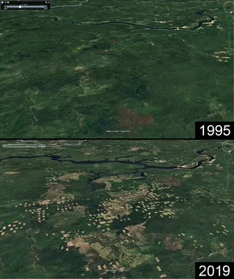 Леса Сибири со спутника (71 фото) »