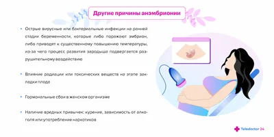 Неразвитая или замершая беременность: причины, симптомы и признаки на  разных сроках