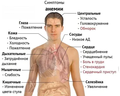 Экзема: причины, чем лечить и мазать, как выглядит экзема на руках, ногах,  лице и пальцах