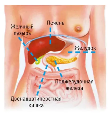 Курс Острый панкреатит и его осложнения - 36ч.