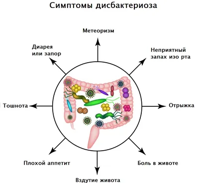 Дисбактериоз у грудничка ⚕️ Дисбактериоз у младенцев и новорожденных ▶️  Симбитер®