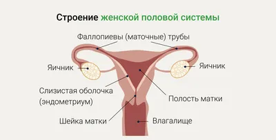 Лечение полового герпеса в Москве.