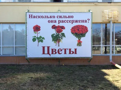 Сеть цветочных магазинов в ЦАО в Москве | Купить бизнес за 3 200 000 ₽