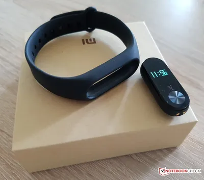 Redmi Smart Band 2 - Black – TRUETECH.CO.ZA