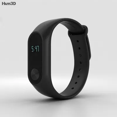 Redmi Smart Band 2