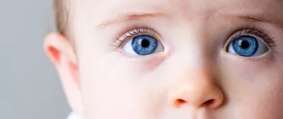 Глазные заболевания у человека список, симптомы - Центр микрохирургии глаза  «Окулюс» - Липецк