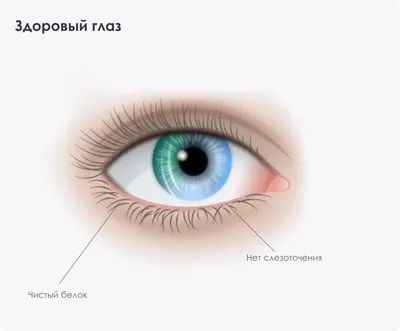 Возрастные заболевания глаз
