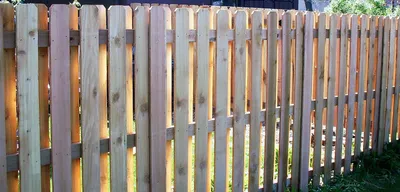 Зачем строить сплошной забор из доски, если есть способ сделать намного  красивее и за ту же цену | Блог самостройщика | Дзен