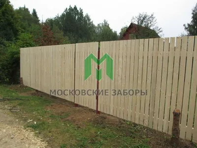 Лучше покрасить забор - гидромаслом! Деревянный забор из планкена  лиственницы | Лесобаза.рф - PRO свой дом! | Дзен