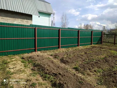 Забор из зеленого профнастила фото фото