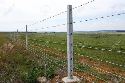 Забор с колючей проволокой стоковое фото ©KKulikov 1827272