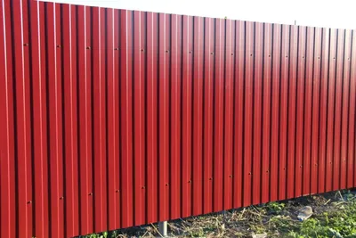 Забор из профнастила с полимерным покрытием \"Зеленый мох\" купить в Тюмени  недорого | Биллион