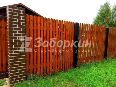 Деревянный забор: лучшие идеи по созданию эффективной и красивой ограде для  участка (125 фото) | Landshafblog - все о ландшафте! | Дзен