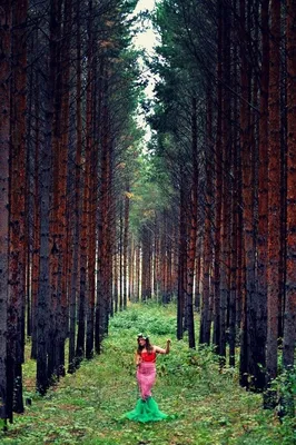 Ирина Губаревич - Загадочный лес, 2018, 40×30 см: Описание произведения |  Артхив