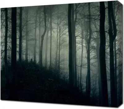 Картина по номерам STRATEG Загадочный лес, 40x50 см (GS1358) - купить в  Киеве по выгодной цене от 199 грн., продажа в интернет магазине канцтоваров  VV.ua