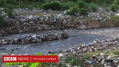 Загрязнение рек Сибири и Дальнего Востока золотодобывающими компаниями  усилилось ⋆ НИА \"Экология\" ⋆