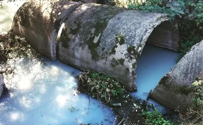 За месяц в регионе дважды регистрировали экстремальное загрязнение воды |  Общественное движение Зеленых \"Родина\", Зеленая правда