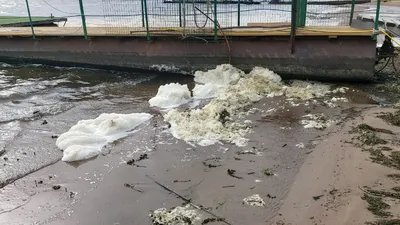 В Хакассии из-за золотодобытчиков произошло загрязнение рек ⋆ НИА  \"Экология\" ⋆