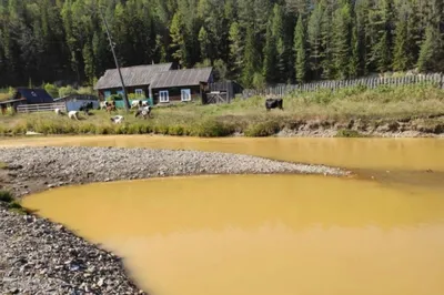 Можно ли остановить загрязнение воды? 💧 КРЫНI