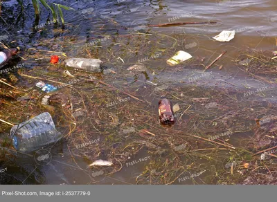 За загрязнение воды в Угре и Оке виновникам грозит штраф 600 тыс рублей