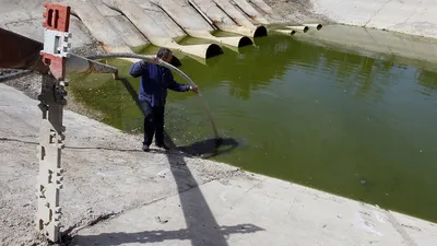 В загрязнение рек в Манском районе виноваты золотодобытчики | ЭКОЛОГИЯ |  АиФ Красноярск