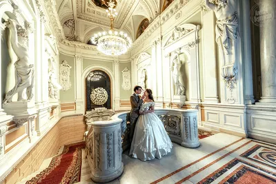 ЗАГСы и Дворцы Бракосочетания в Санкт-Петербурге • режим  работы/телефоны/адреса