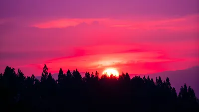 Скачать 1920x1080 закат, небо, розовый, деревья, солнце обои, картинки full  hd, hdtv, fhd, 1080p