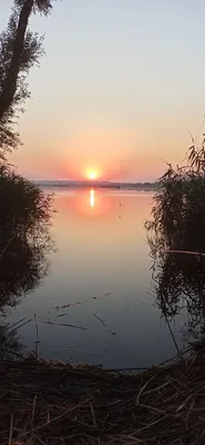 Закат или рассвет на озере утра или паре и помохе болота Стоковое  Изображение - изображение насчитывающей утро, рассвет: 189870845