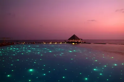 Фотообои \"Красивый закат на Мальдивах\" - Арт. 140031 | Купить в  интернет-магазине Уютная стена