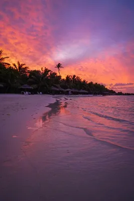 true_beautiful_nature - Невероятный закат на Мальдивах 😍🌅🌴 #пляж  #побережье #море #закат #мальдивы #необычнаяприрода #beach #coast #sea  #sunset #maldives #beautifulnature #amazing Фото @shaafil | Facebook