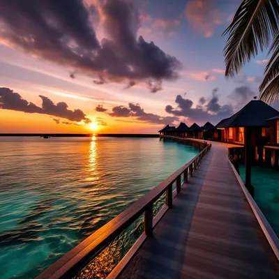 Праздничный закат 🌅 #мальдивы #свадьба #снорклинг #фотосессия #maldives  #wedding #snorkeling #fotografia | Instagram