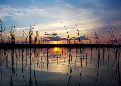 Закат на озере Sunset | Закаты, Экзотические места, Природа